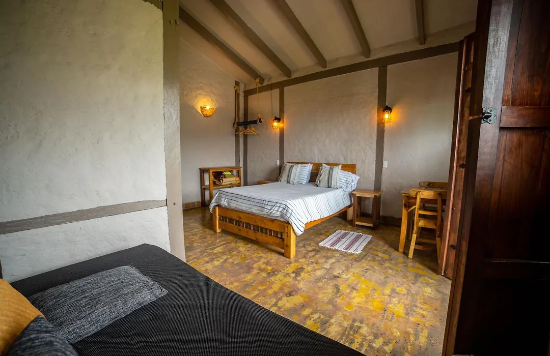 Coffee Tree Boutique Hostel-1